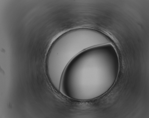 X0000091101316200708061013