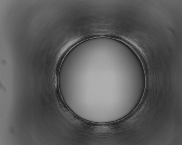 X0000091101317200708061013