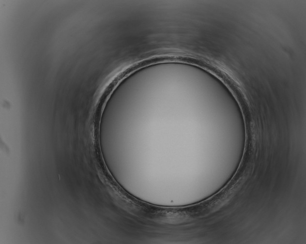 X0000091101318200708061013