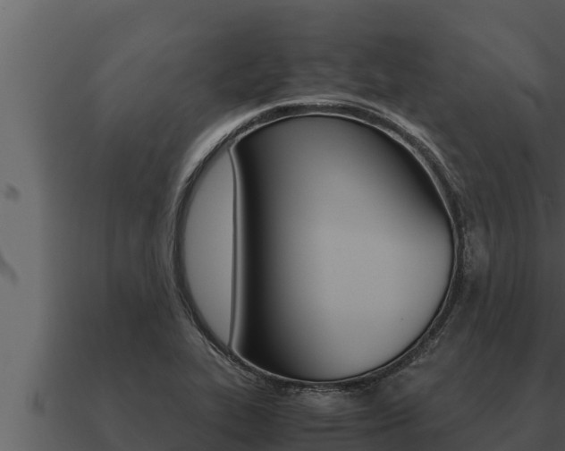 X0000091101319200708061013