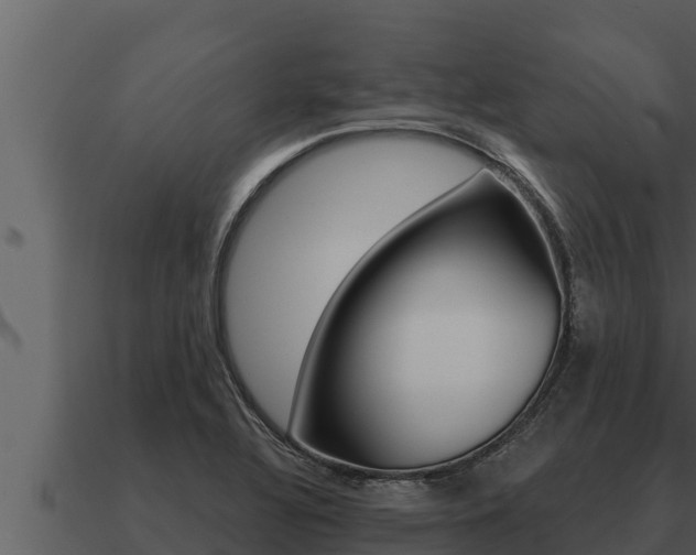 X0000091101320200708061013