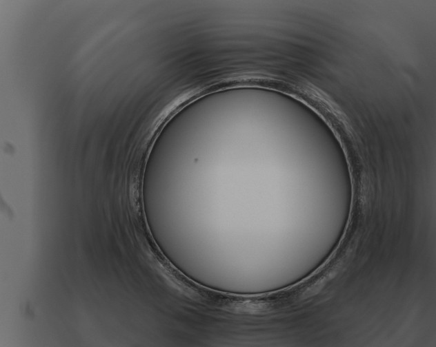 X0000091101321200708061013