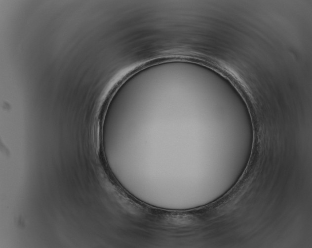 X0000091101323200708061013