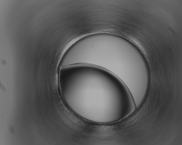 X0000091101324200708061013