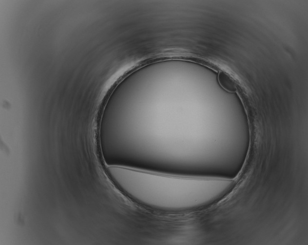 X0000091101325200708061013