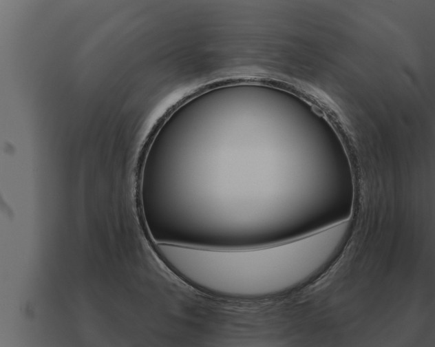 X0000091101326200708061013