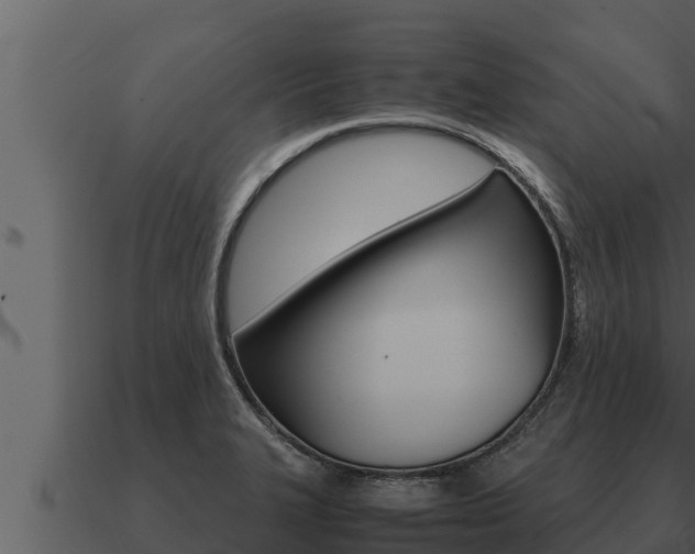 X0000091101327200708061013