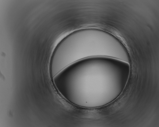 X0000091101328200708061013