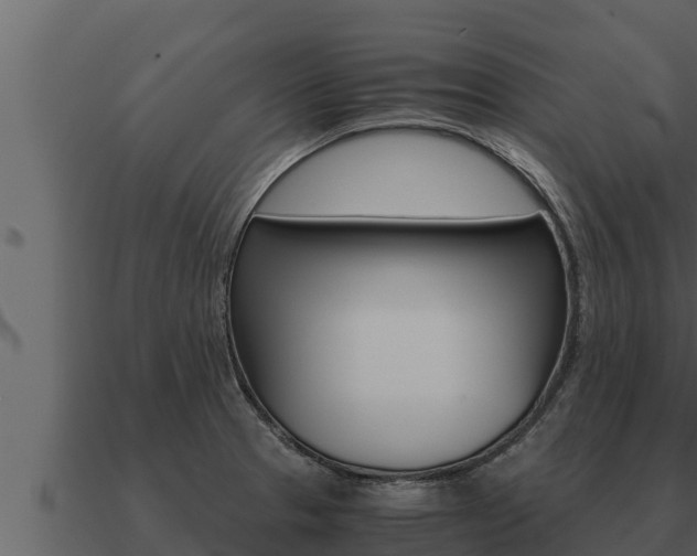 X0000091101329200708061013