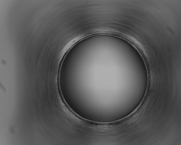 X0000091101330200708061013
