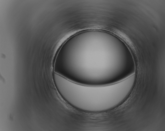 X0000091101332200708061013