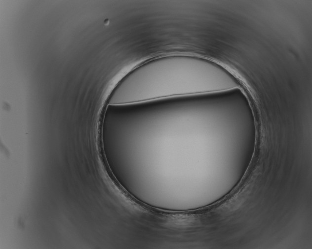 X0000091101333200708061013