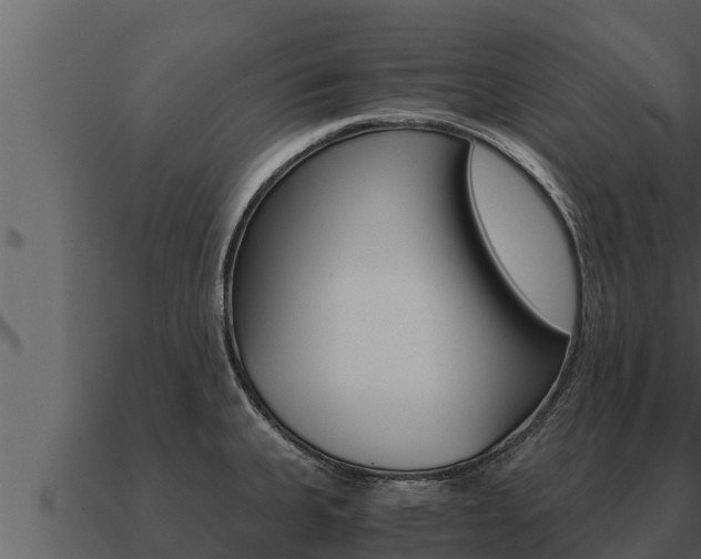 X0000091101335200708061013
