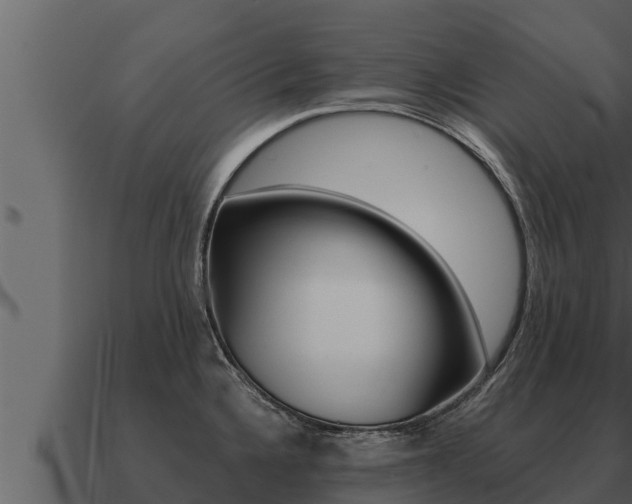 X0000091101336200708061013