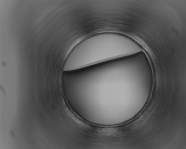 X0000091101337200708061013