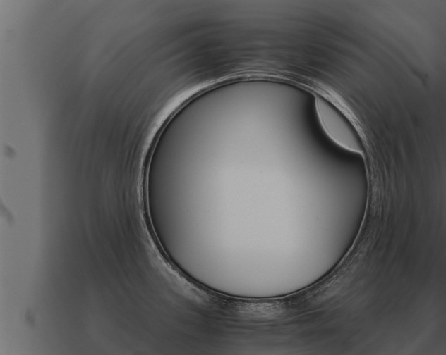 X0000091101339200708061013