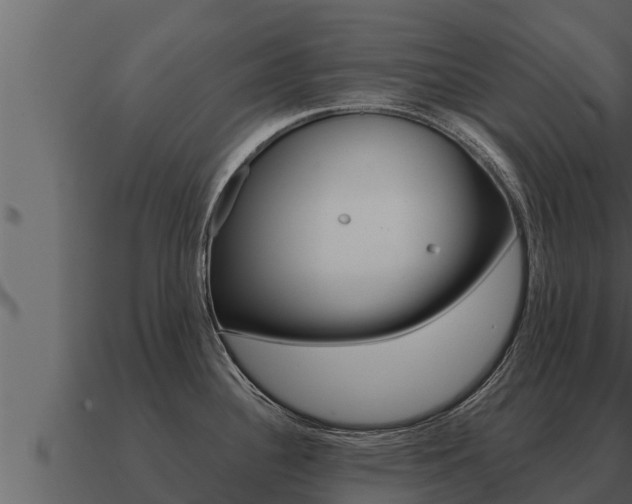 X0000091101340200708061013