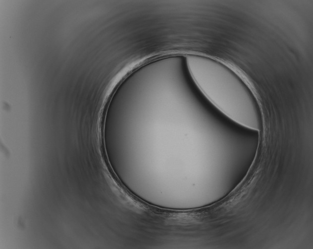X0000091101341200708061013