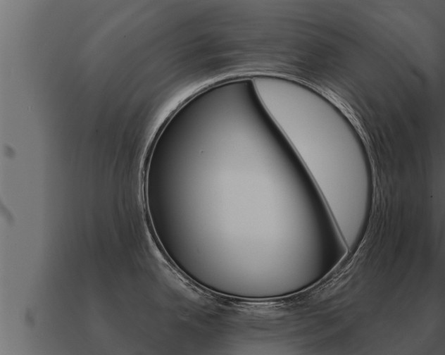X0000091101342200708061013