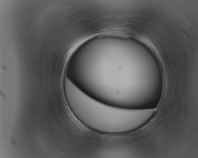 X0000091101344200708061014