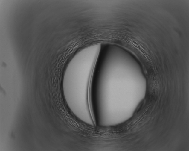 X0000091101345200708061013