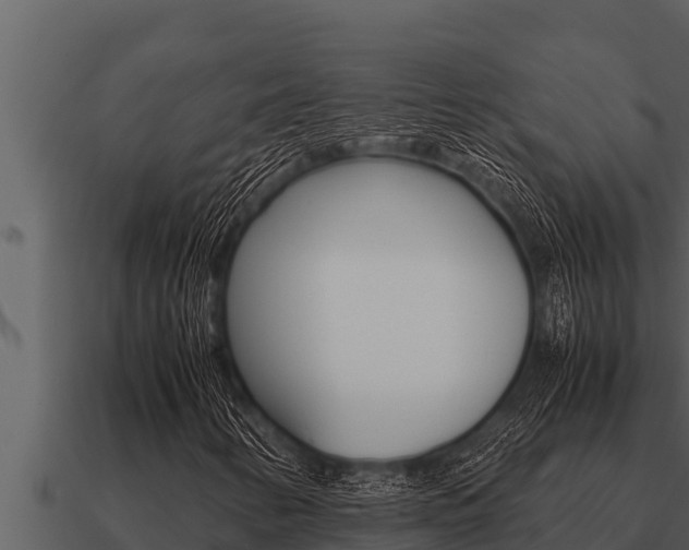 X0000091101346200708061013
