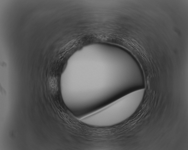 X0000091101347200708061013