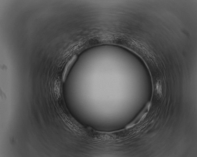 X0000091101348200708061013