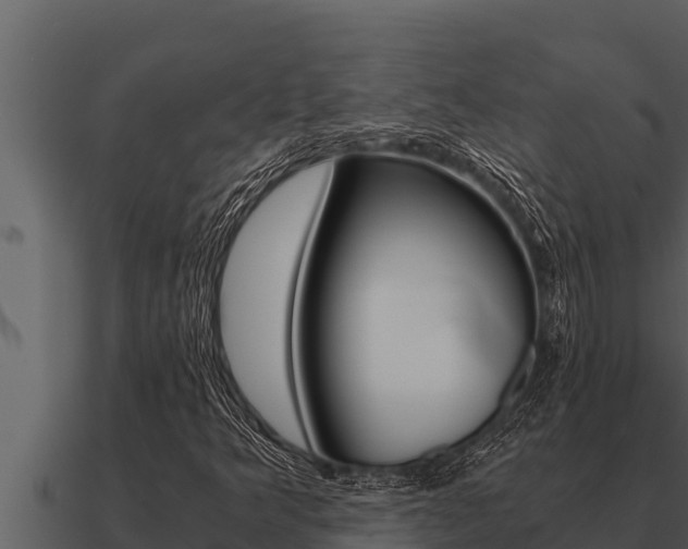 X0000091101349200708061013