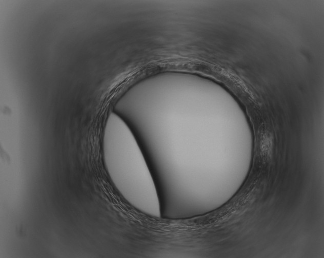 X0000091101350200708061013