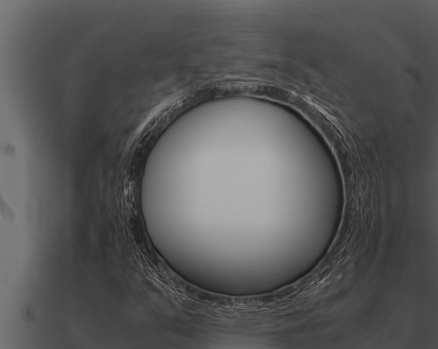 X0000091101351200708061013