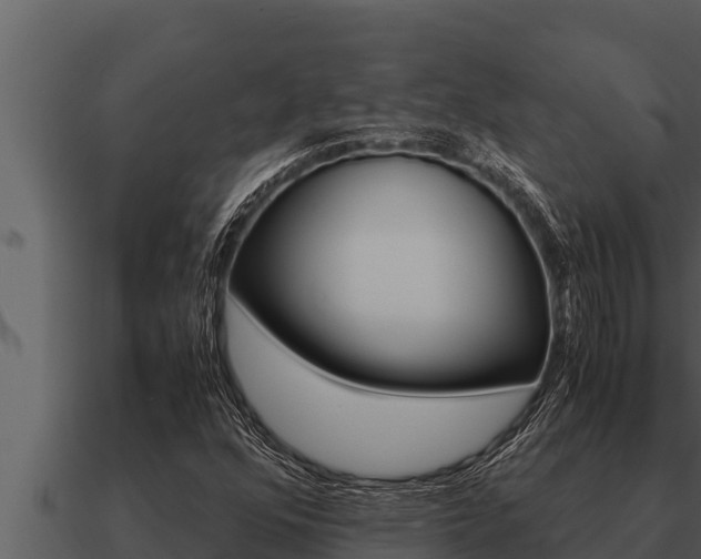 X0000091101352200708061013