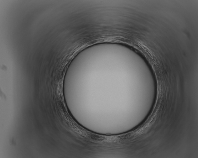 X0000091101353200708061013