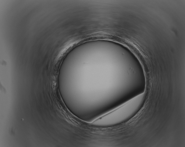 X0000091101355200708061013