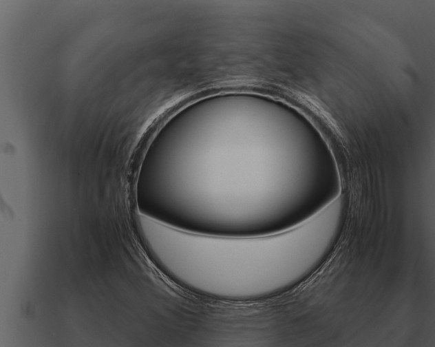 X0000091101356200708061013