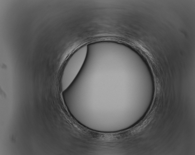 X0000091101357200708061013