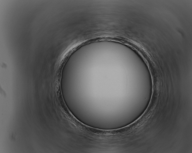 X0000091101359200708061013