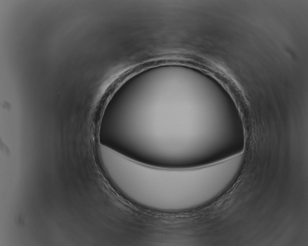 X0000091101360200708061013