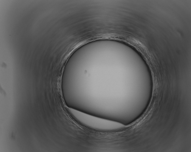 X0000091101361200708061013