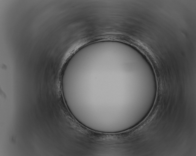 X0000091101362200708061013