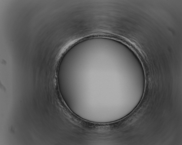 X0000091101363200708061013