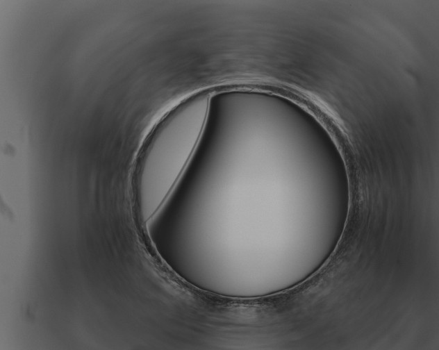 X0000091101364200708061012