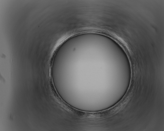 X0000091101365200708061012