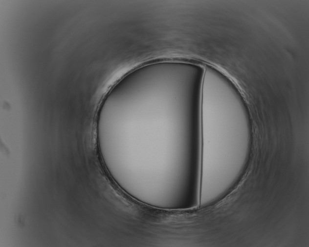 X0000091101367200708061012