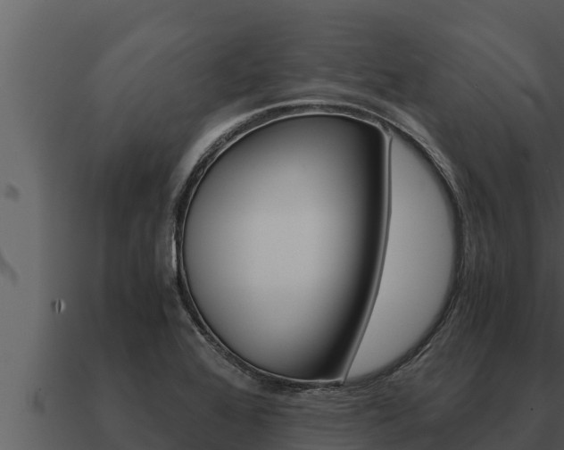 X0000091101368200708061012