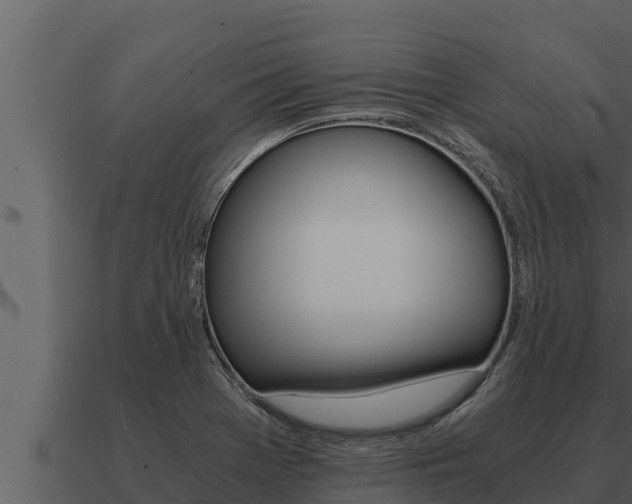 X0000091101369200708061012