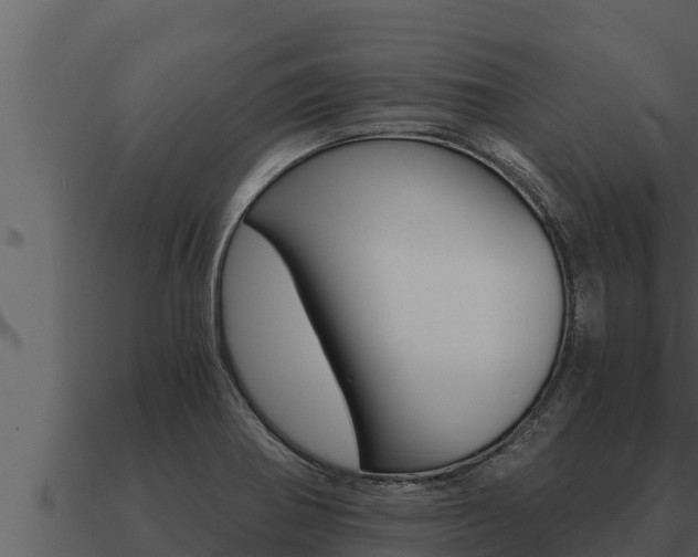 X0000091101370200708061012