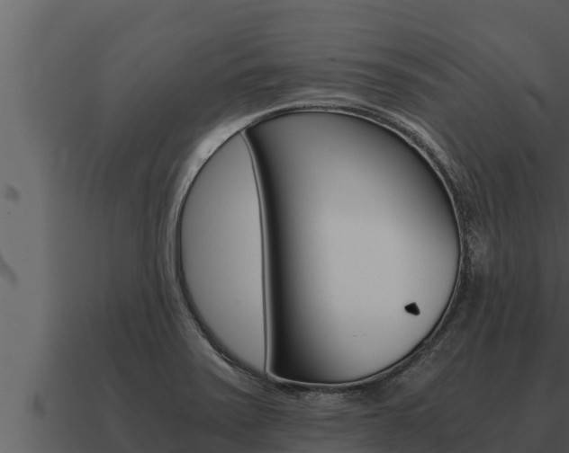 X0000091101371200708061012