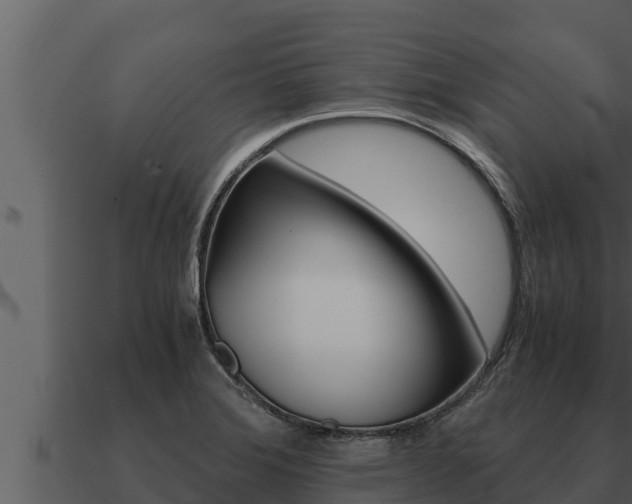 X0000091101372200708061012