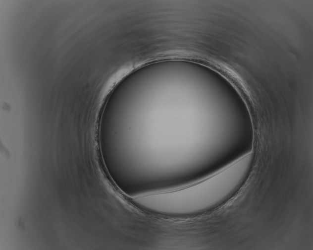 X0000091101373200708061012